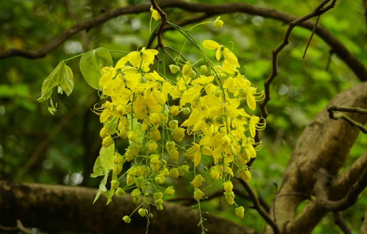 Fresh flower arrangements being carefully prepared for delivery